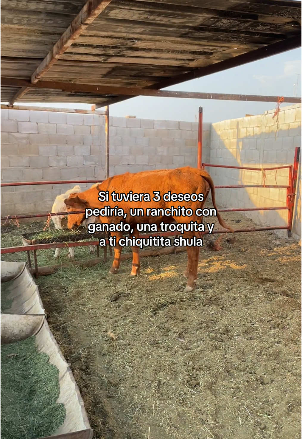 Sin duda alguna! 🤞🏽❤️‍🩹 #fyp #paratiiiiiiiiiiiiiiiiiiiiiiiiiiiiiii #newtiktok #trendingsong #rancho #vaquero #ranchito #indirectasmuydirectas #alucines📿🧿🙈 #vaquerosmexicanos #ranchero #trendd #trendingvideo #cancionesparadedicar #coahuila #ranch #ganado #tiktoknoloborres #musicaparaestados #estadosparadedicar #foryoupage #vaqueros #frasesdeamor #nuevotiktok 