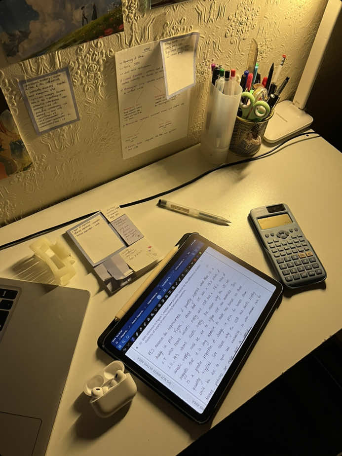 I survive on naps and hope🍀#studywithme #fyp #study #studymotivaton #studentlife #studytok #foryou #digitaldiary #studytokaesthetic #studyvlog #studentdiaries #fypage #studying #student 
