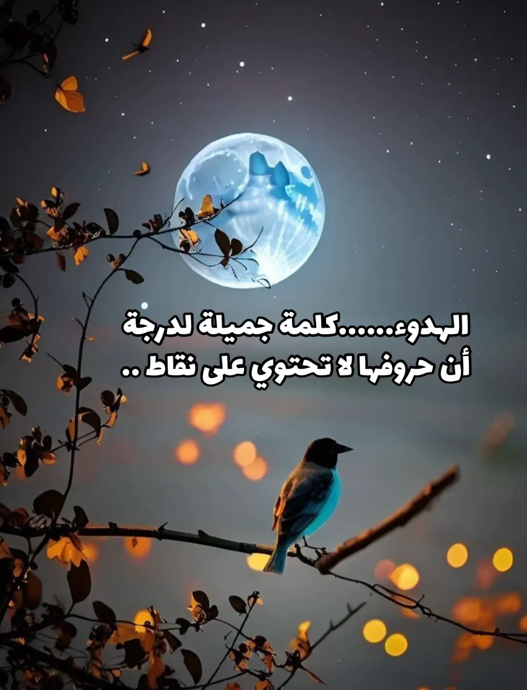 الهدوء......كلمة جميلة لدرجة ‏أن حروفها لا تحتوي على نقاط ..