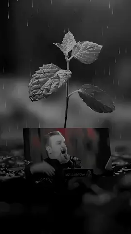 القصيدة/ قصة خيانة نبي الشاعر/ السيد فاضل الخرسان الحاج باسم الكربلائي  … اخط بدموعي واسجل كتابي يبويه إعله دهري اوجه عتابي …… #باسم_الكربلائي #اكسبلور  #باسم_الكربلائي_عشق #باسم_الكربلائي_رادود_ما_له_مثيل #باسم_الكربلائي_عشق_الحسين  #قصائد_حسينيه  #explor 