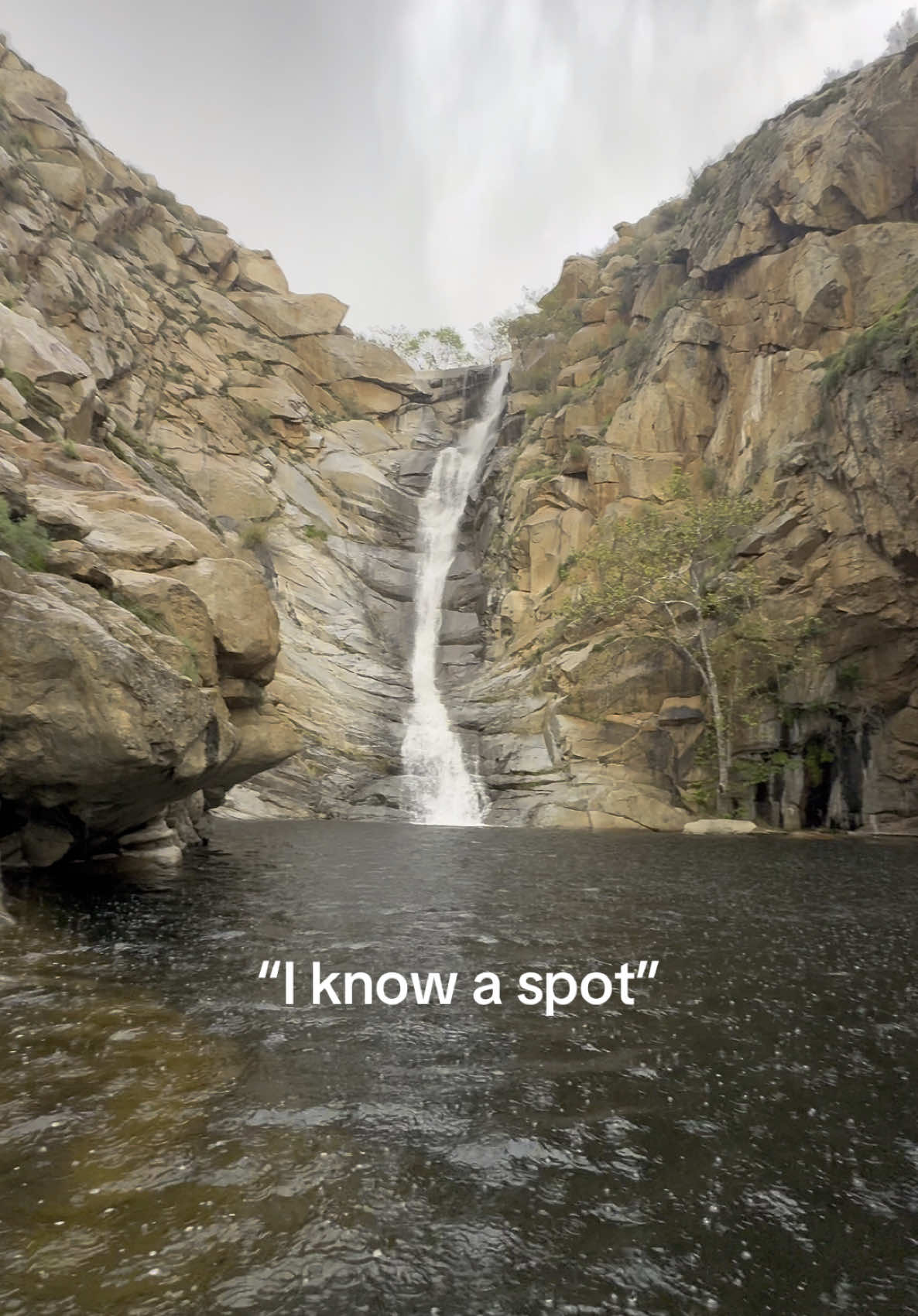 Have you been to this spot?  #cedarcreekfalls #julian #sandiego #california #hikingtok #Hiking #nature #waterfalls #springhikes #socalhikes #socal #Outdoors #fyp