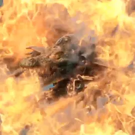 Anomali Corcodilo Bombardilo #corcodilobombardilo#tiktok#anomali#italiano