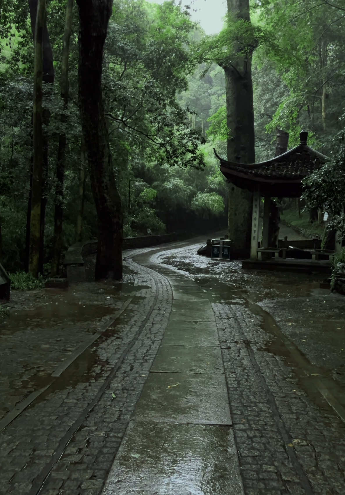 Dream of Seclusion  #🇨🇳 #Hangzhou #ChinaView #ChinaVibes #Scenery #Landscape #Architecture #Chinese #Aesthetic #Nature #Scenic #Culture #Travel #China #Cina