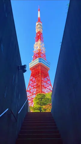 Tokyo / 東京 アニメのような東京の景色🗼🥰 Please follow 👉@japan_walker_    Please Share 🥰🙏✨ #japan #japantravel  #japantrip #anime #tokyo #tokyotower #yourname #君の名は #shibuya #shinjuku #渋谷 #東京 #丸の内 #東京タワー #新宿 #アニメ #都庁 #asakusa #浅草 