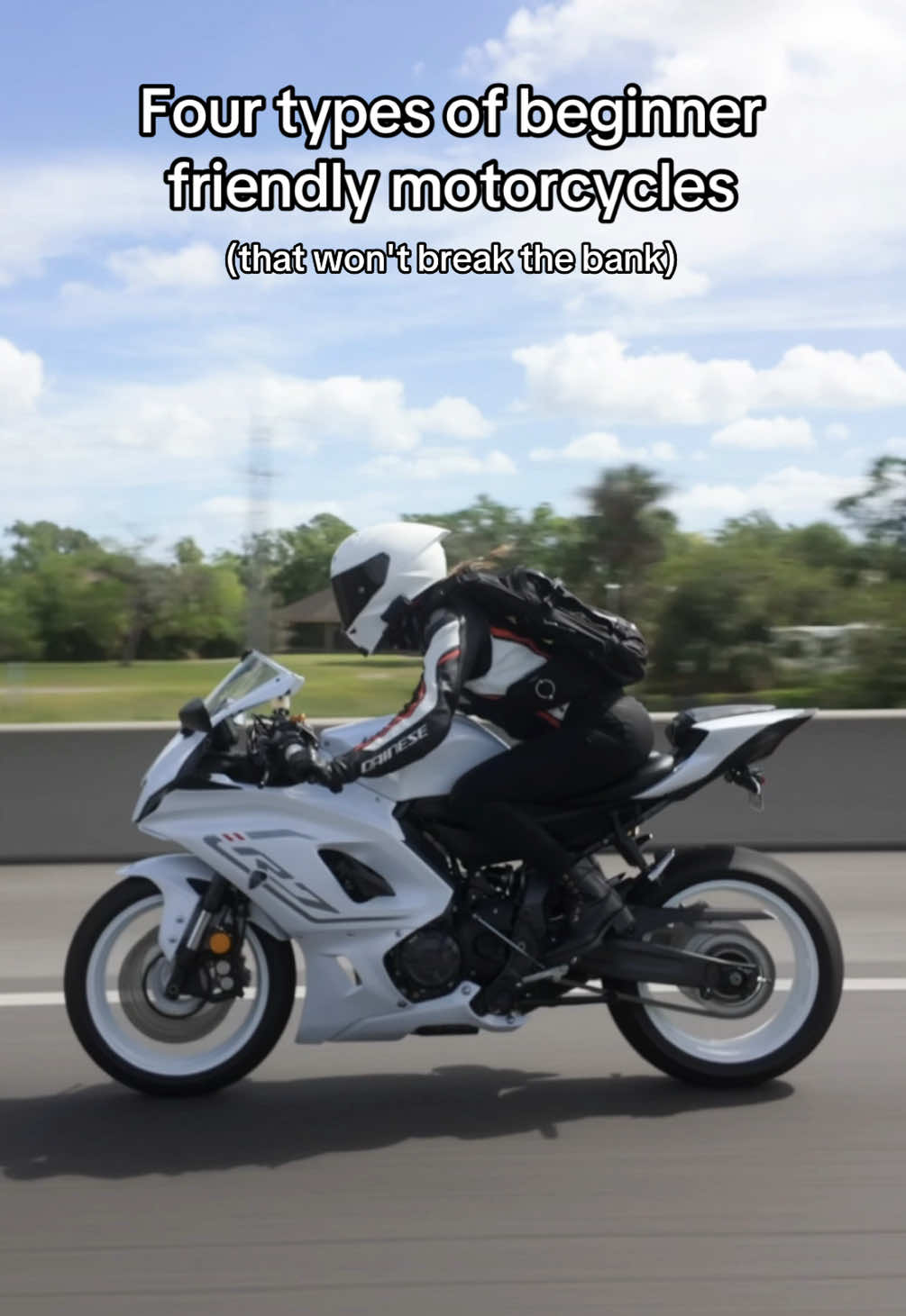 budget friendly starter bikes for all types of riders #motorcyclegirl #bikerchick #biker #fyp #bikelife #sportbike #bikertok #2wheels 