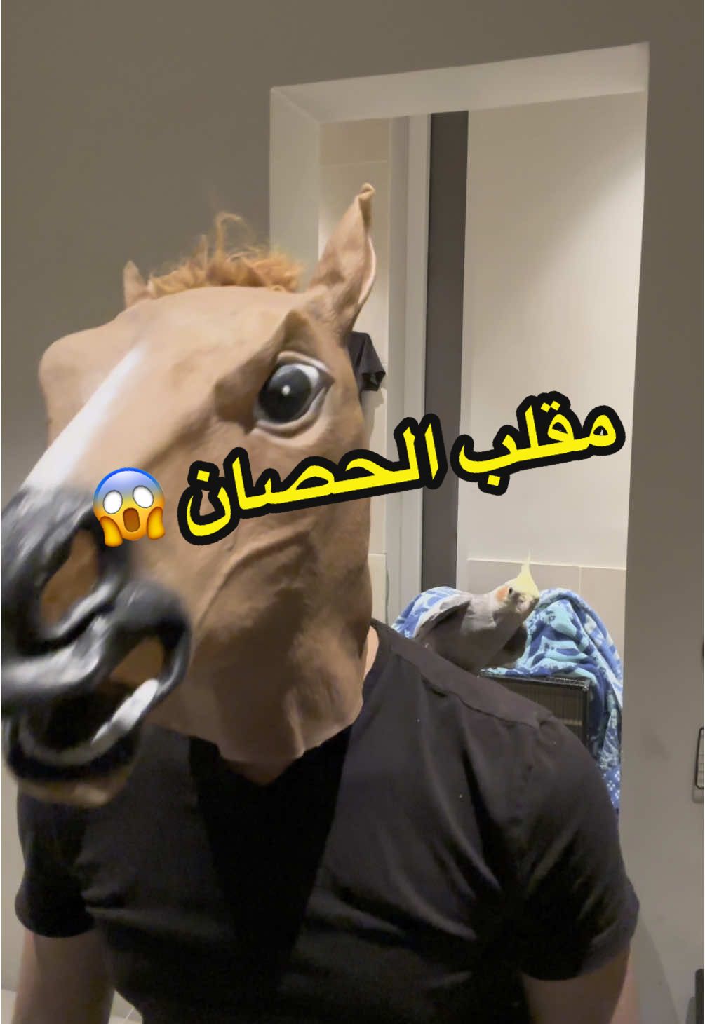كنت متوقع انه بيخاف ماتوقعته يسوي كذا ! 😱#كروان #cocktail #اكسبلورexplore 