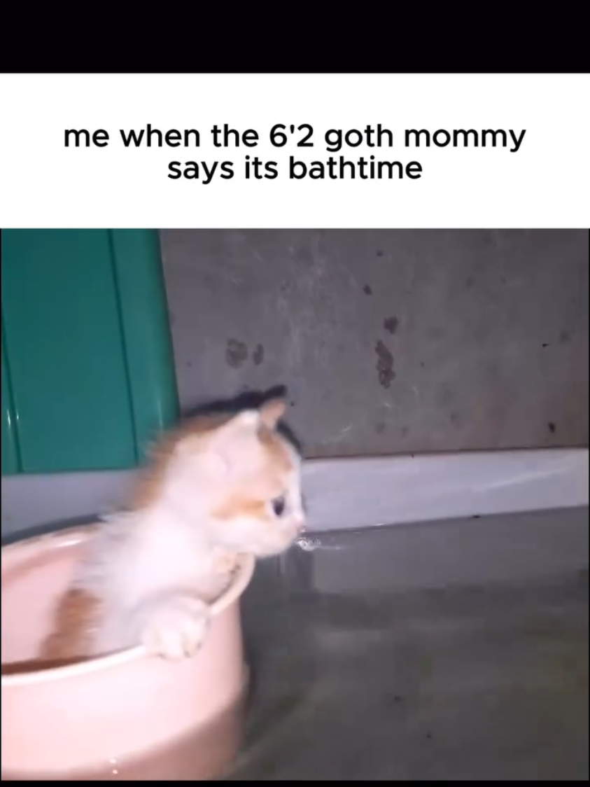bath time #fyp #goth #viralvideos 
