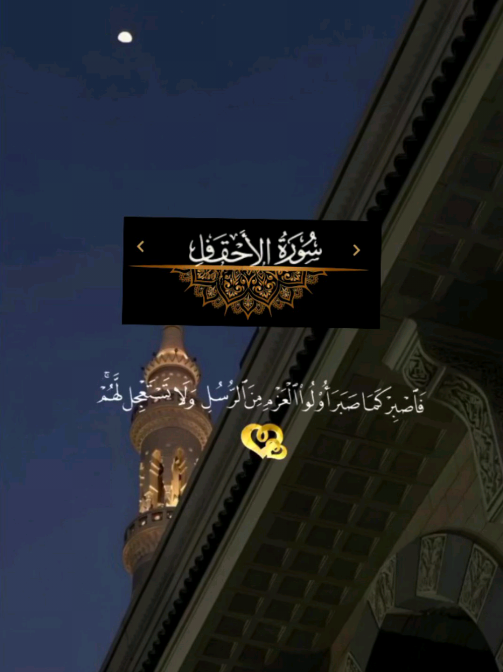 (فاصبر كما صبرا اولوا العزم من الرسل ولاتستعجل لهم كأنهم يوم يرون مايوعدون لم يلبثوا  الا ساعة من نهار) #قران #القران_الكريم #قران_كريم  #القران_الكريم_راحه_نفسية😍🕋  #قران_كريم_ارح_سمعك_وقلبك  #القرانالكريم #قرانكريم #تلاوة_خاشعة  #القرآن  #ارح_قلبك_بالقران🩶🩶🩶  #القرآن_الكريم #قرآن_كريم #تلاوات #ارح_سمعك_بالقران #اجر_لي_ولكم  #tik_tok  #foryoupage  #explore  #vairal  #quran @القران الكريم🩶🫀🫀 