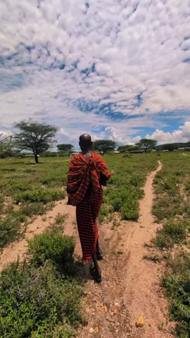 I love it here, Samburu 🇰🇪