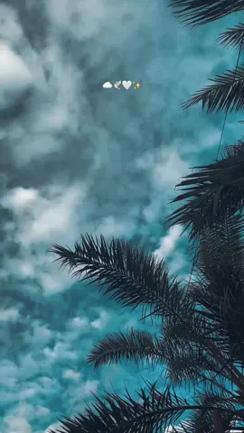 المقطع حلالكم 😍🫶#غيوم #تصويري #مطر #سماء #explore #عبارات #قتباسات #v #خواطر #pov #غيوم_مطر #vedio #يالله #مشاءالله #تصوير #اجواء_خيالية #غيومي #جودي #ضيفوني #حساب_انستا_بل_بايو 