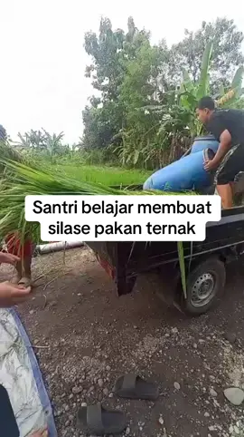 Ekstra Ternak Santri #ternak #pesantrenstory #riyadhulquranjogja 