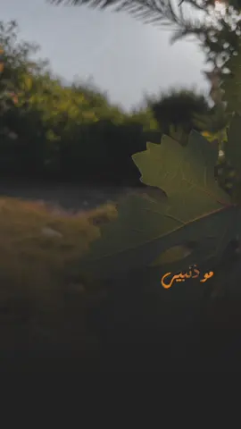 #CapCut #سمير_صبيح❤️ #سمير_صبيح💔 #حزينہ♬🥺💔 #🖤🖤❤️❤️🖤🖤 #🖤🖤❤️❤️🖤🖤 #سمير_صبيح❤️ #سمير_صبيح💔 #سمير_صبيح❤️ #🖤🖤❤️❤️🖤🖤 #حزينہ♬🥺💔 #سمير_صبيح💔 #سمير_صبيح❤️ #🖤🖤❤️❤️🖤🖤 