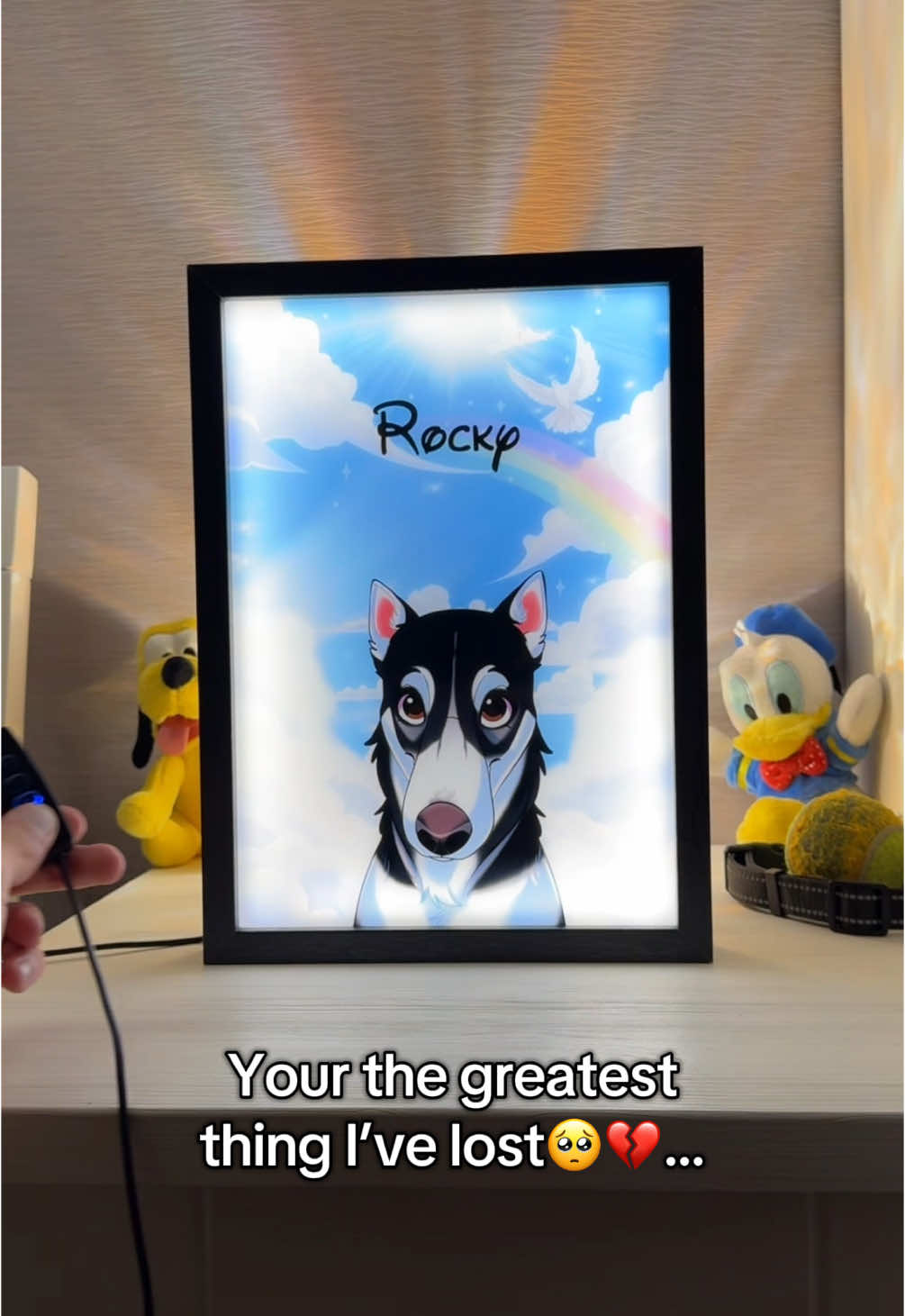 I forgige you Rocky🥺 #dogsoftiktok #mydog 