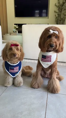 both girls in a size small! 🫶🏻🇺🇸🧸 