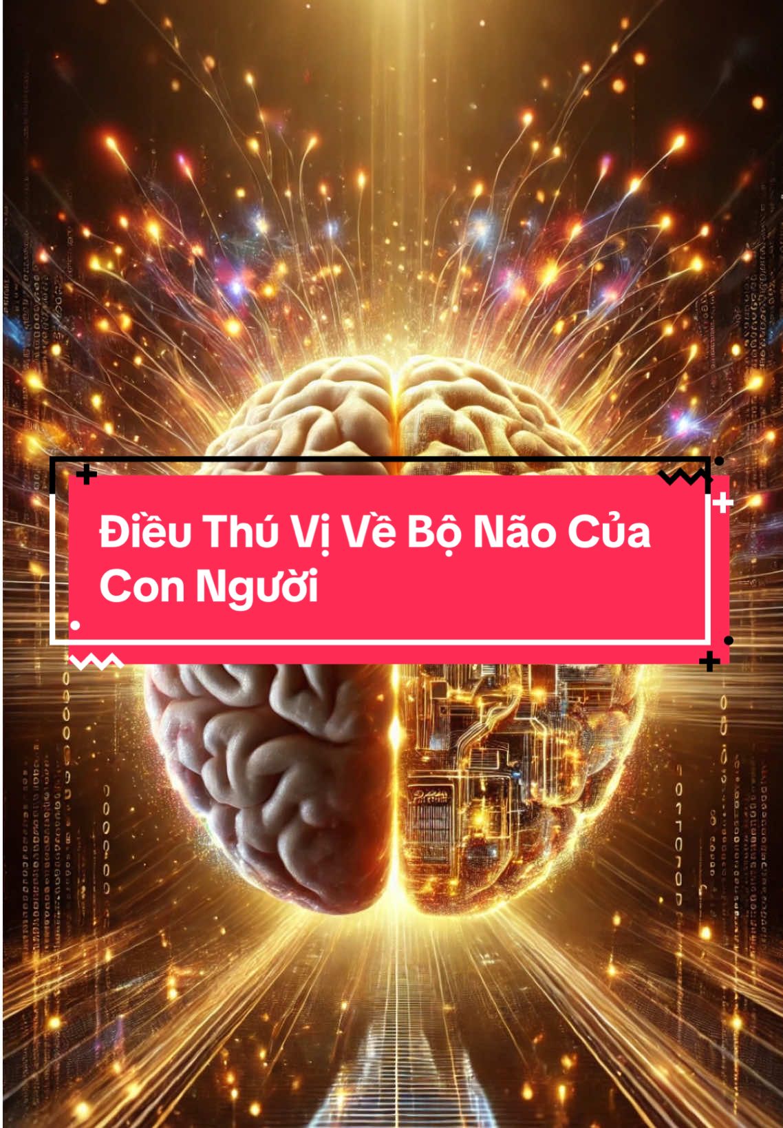 Sự thật thú vị về não bộ của con người. #xuhuongtiktok #xuhuong2025 #benhunao #gocykhoa #khoemoingay_365  @Góc Y Khoa  @Góc Y Khoa  @Góc Y Khoa 