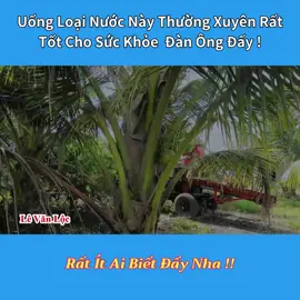 Uống nước rễ cây này thường xuyên rất tốt cho sức khỏe nam giới đó nha !! 🤩  #levanloc #thanhmeovn #meohay 