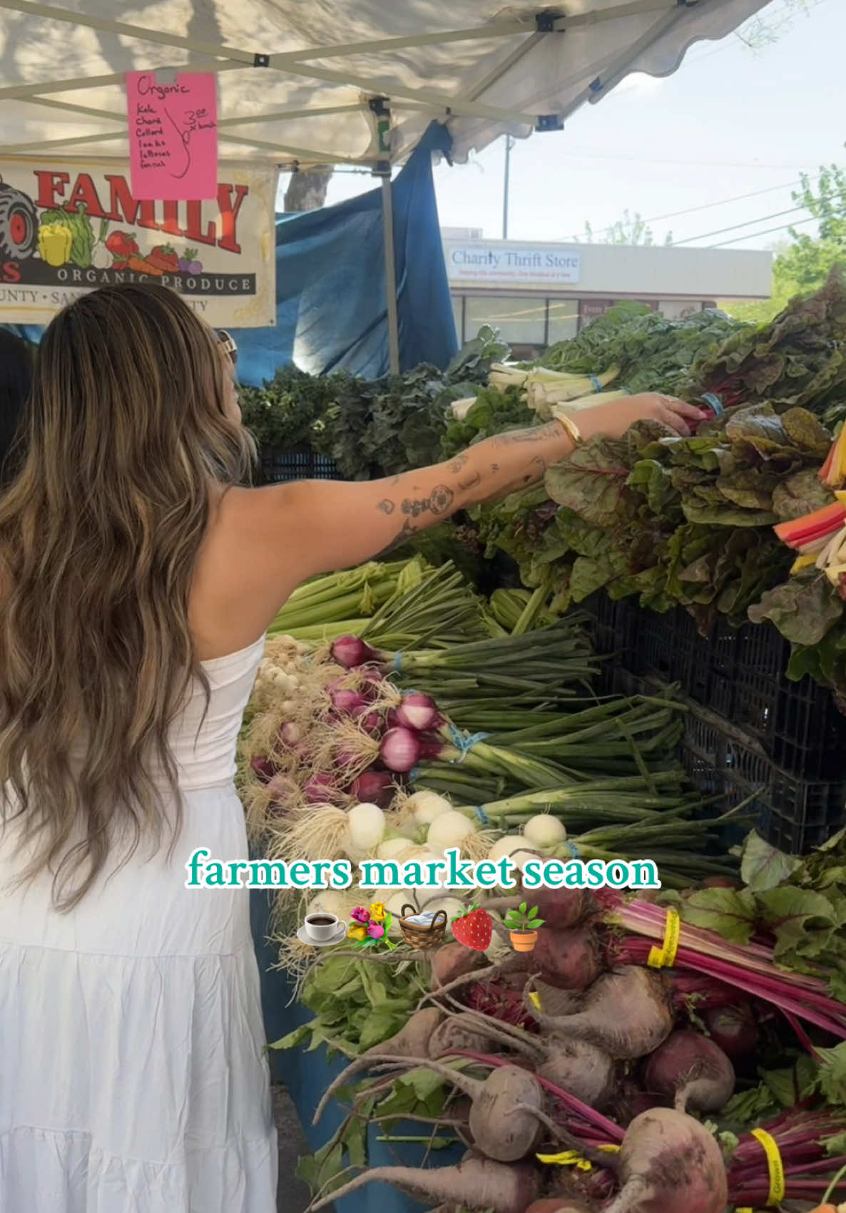 favorite time of year!🪴💌 #farmersmarket #farmersmarketlife #farmersmarkethaul #localbusiness #localeats @shelby lyn 