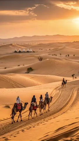 🎥 POV : tu traverses le Sahara, porté par le silence et le souffle chaud du vent... Entre dunes dorées et lueur dorée, le temps s'arrête. Marche lente, ambiance mystique. Tu n’es plus spectateur, tu es voyageur. 🌾🐫 #SaharaVibes #DouzTunisie #DesertDream #CamelRide #GoldenHourMagic #TiktokVoyage #DesertMood #CinematicAI #viralvideotiktok #manifestation #luxurylifestyle #millionairemindset#richlifestyle #aestheticvideos