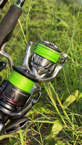STARDIC X VANFORD #shimano #vanford2024 #shimano #stardic @เจษ สตรีท 