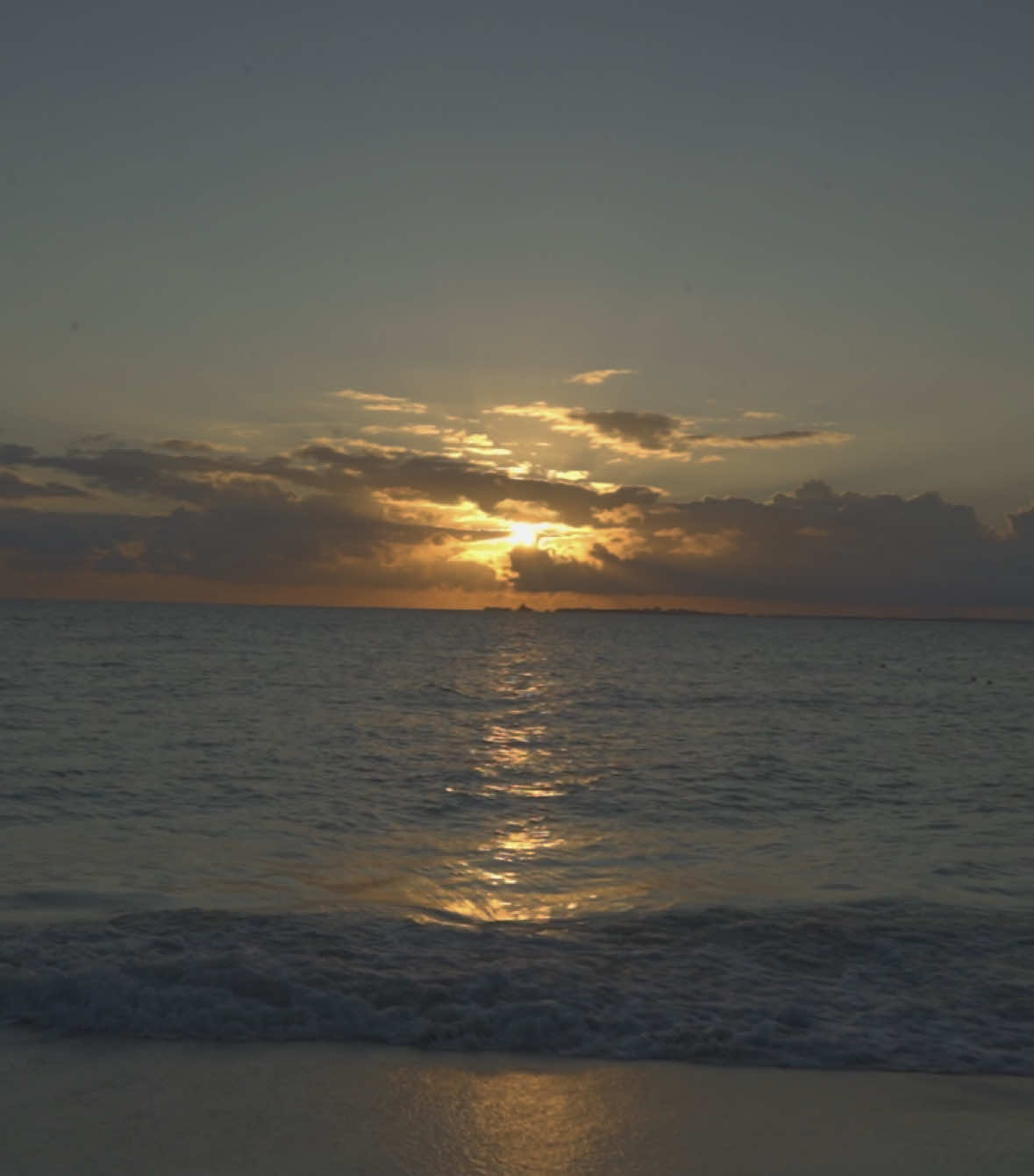 the light is ahead.                              #unknown #cinematic #digital #pondering #nature #nostalgia #sony #liminal #sunset #ocean #bird #swag 