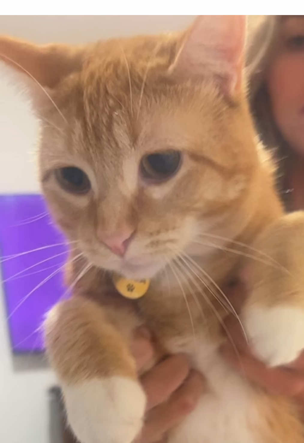 @discolines drop this 