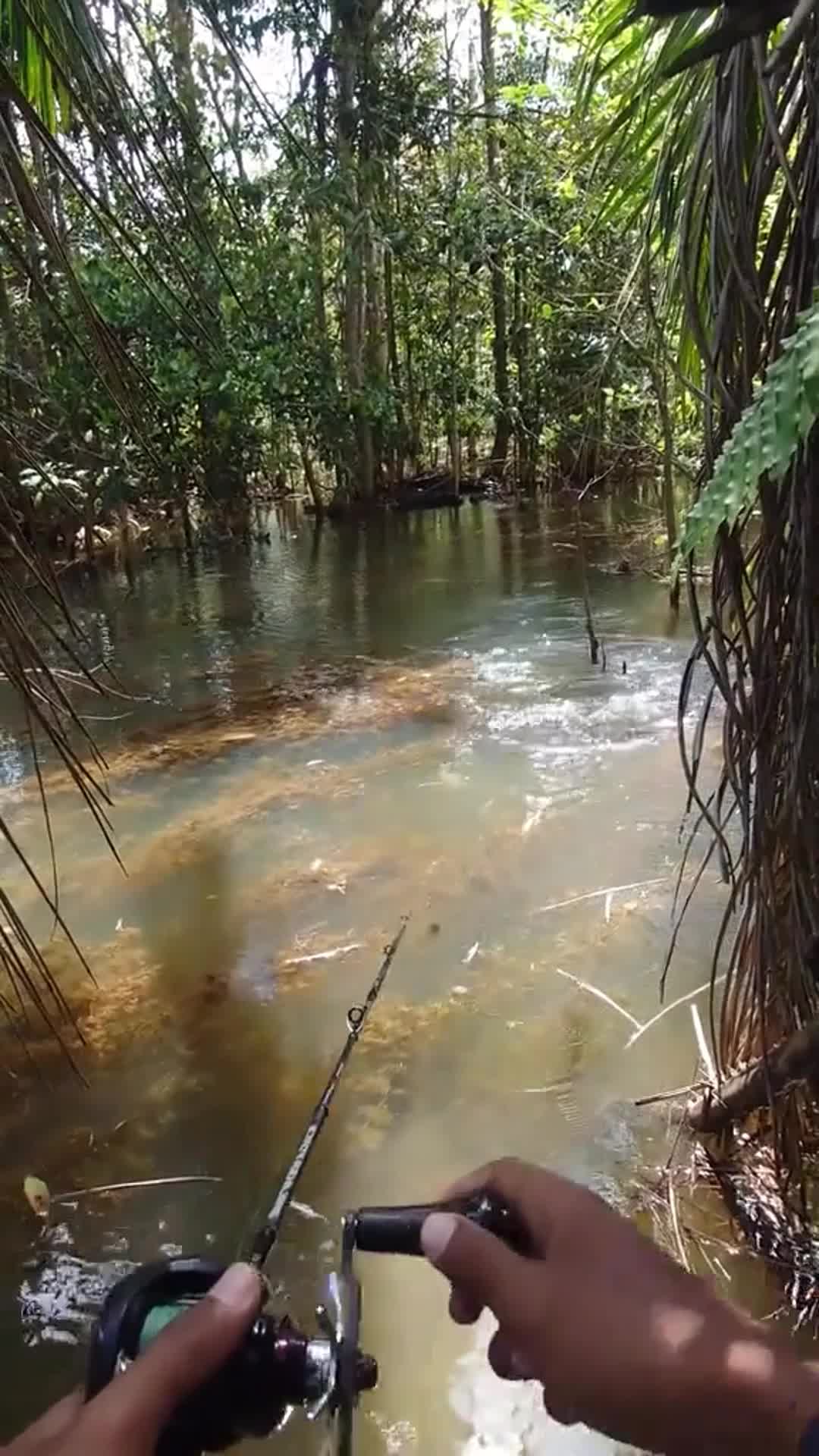 INSTANT FISH MAGNET! 