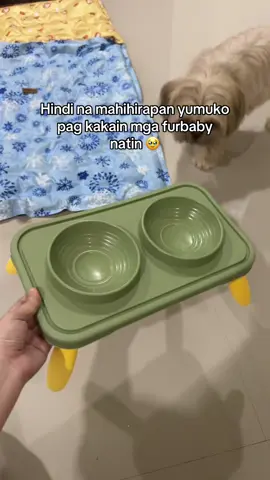 pinaka affordable na elevated pet bowl 😍 #petfeeder #petbowl #fyp 