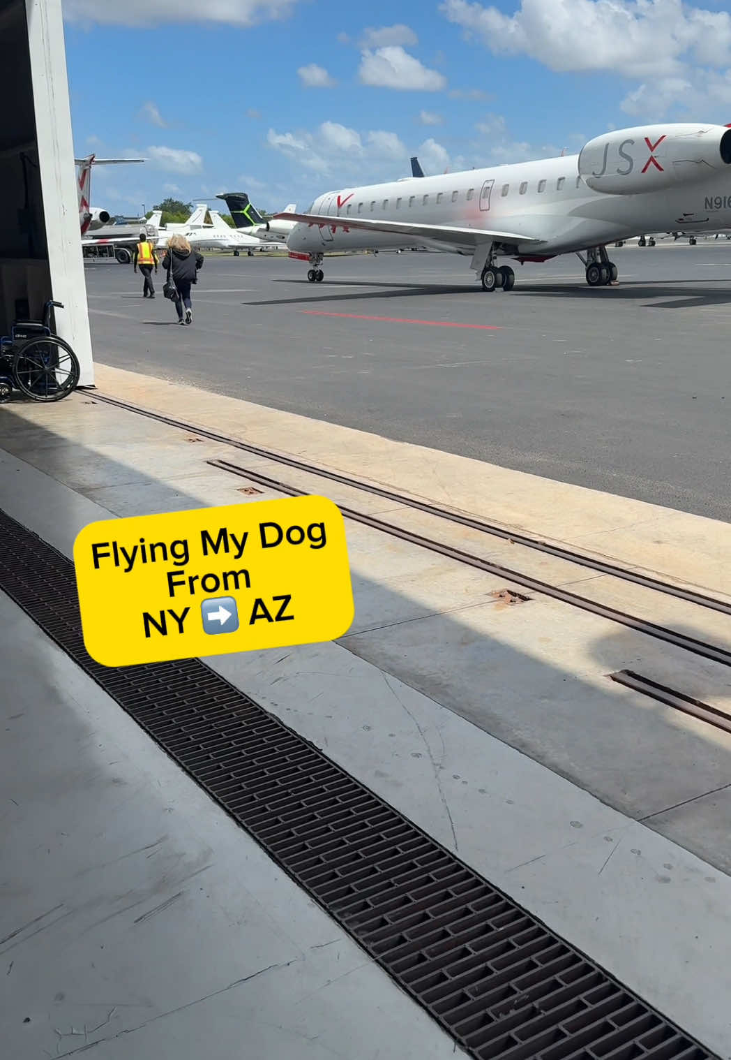 My journey flying my dog across the country!  @JSX #fly #flying  #100kviews #dogsoftiktok #dog #fyp 