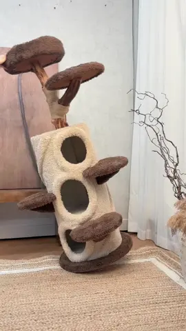 Large Cat Tree Solid Wood Tree Hole Cat Climbing Frame 🥰🥰🥰 🌎Worldwide shipping 🏡🛒 homepage link to place an order🔗: www.kzlaa.com---Cat Tree ##cats #catsofinstagram #catlover #catlife #catlovers #cats_of_world #catinstagram #fyp #for #foryou #kzlaa #catvideos #catvilla #catinstagram #cattree #tree 