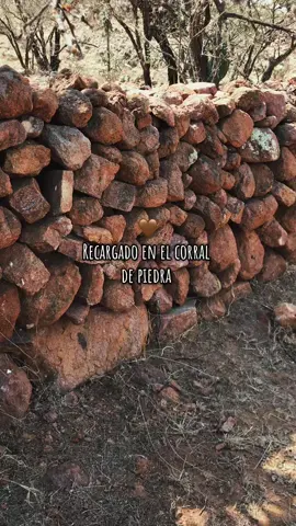 #antonioaguilar #elcorraldepiedra #paratii #🤎🤎 #paratiiiiiiiiiiiiiiiiiiiiiiiiiiiiiii 