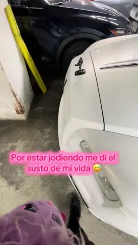 Sustos que dan gusto 😆🤣🤣🤣