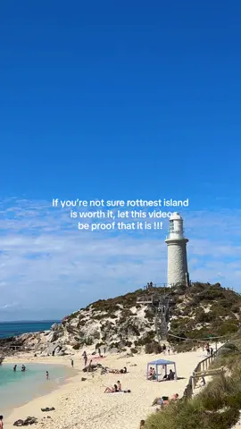 100% worth the money !!! add rottness island to your bucket list #rottnestisland #perthrecommendations #bucketlist #westernaustralia #travelinspo