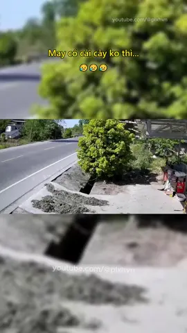 May có cái cây ko thì...😥 #giaothong #tinhhuonggiaothong #mayman #antoangiaothong #phunu #plxhvn #phapluatxahoi