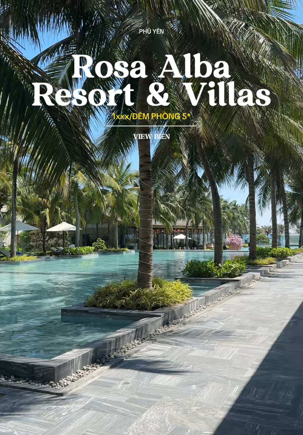 Resort 5* giá rẻ tại Phú Yên ♥️ #xuantruongtravel #rosaalbaresort #phuyen #tuyhoa 