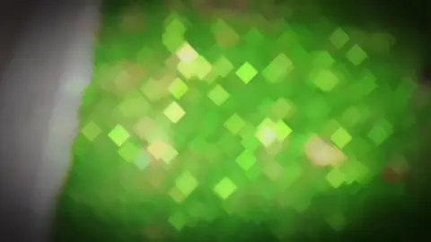 Ko bt e nó theo chủ mới sao rồi ❤️🥲#satria150fi_độ_kiểng #xhtiktok #satria #trending 