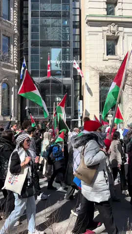 follow our ig @mtl4pal to stay updated w protest times & locations 