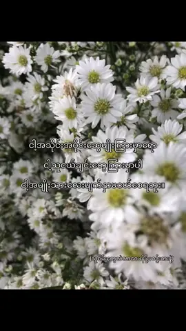 စကားနဲ့ထိတာတောင်မကြိုက်ပါဘူးရှင့်🥱
