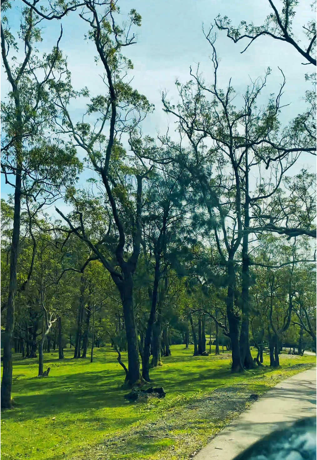 Pagi di Mollo #nttpride🏝🔥 #mollo #molloutara #foryou #kupangtiktok 