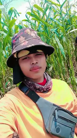 ធ្វើការនៅស្រុកថៃមានអ្នកណាចង់អញ្ចឹងទេ😌