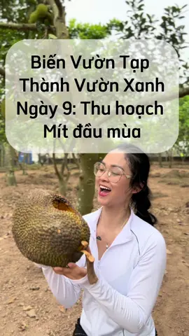 Lần đầu tiên thu hoạch của các chị khi làm vườn cảm giác thế nào ạ? Ôi sao ăn 1 miếng mà thấy nó đã vậy trời #phunulamvuon #lamvuon #trongrau #bophoveque 