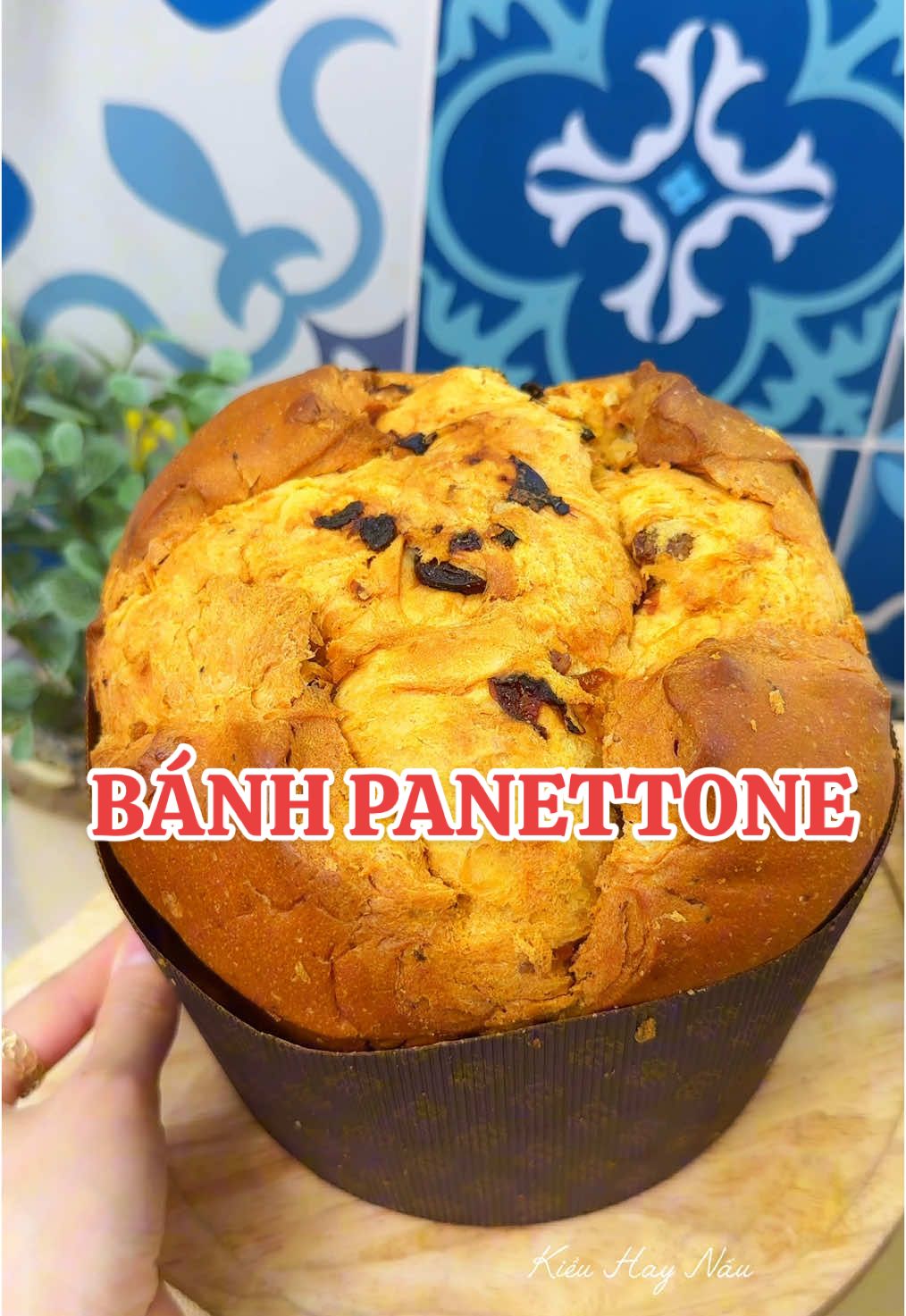 Còn bà nào chưa thử qua cái bánh mì Panettone này chưa.Nó mềm ăn ngon hẳn í #banhpanettone #panettone #bakery#anvat #ancungtiktok #xuhuong #kieuhaynau 