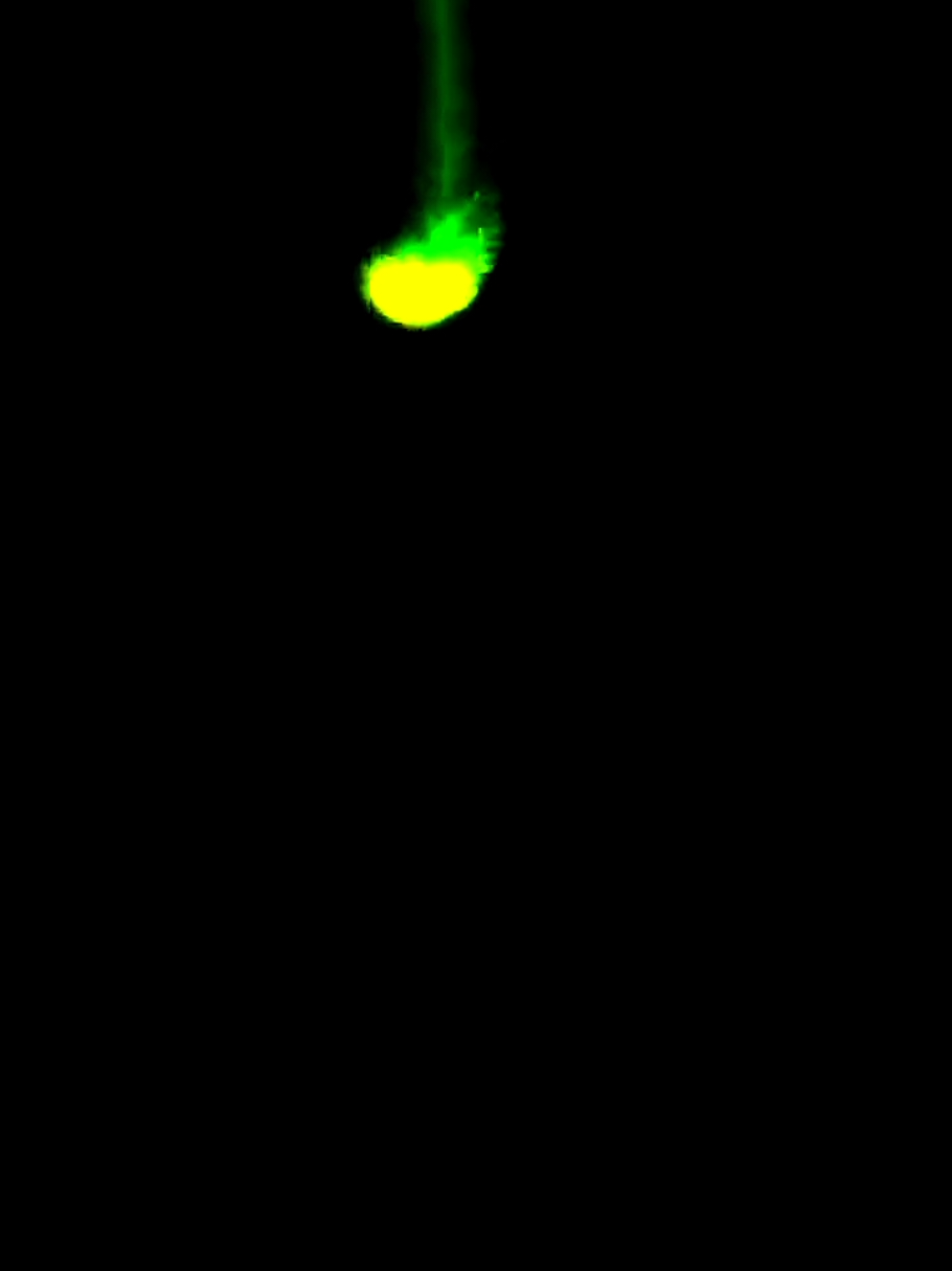 #livewallpaper #wallpaper #livewallpaper4k 