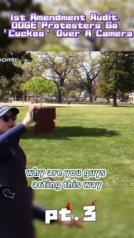 #audit #foryou #police #fyp 