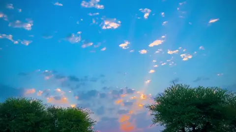 Foryou 🌸❤️‍🩹🦋🤌🔥#pindawale #foryoupage #tiktokpakistan #1millionaudition #community #tik_tok 