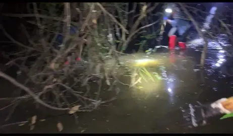 ត្រីព្រែកធំៗណាស់#fyp #fypシ