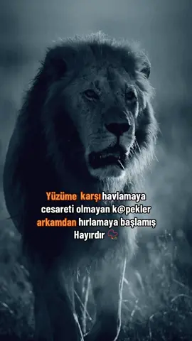 Arkamdan çok konuşmayın sizin hakkınızdaki bildiklerim size yeter📿 #yüzüme #karşı #havlamaya #cesareti #olmayan #fyp #kesfetteyiz #fouryou #mafya #raconsözler #güzelanlamlısözler #kralsözler #damarsözler #storylikvideolar📌 #tiktokbeniöneçıkart 
