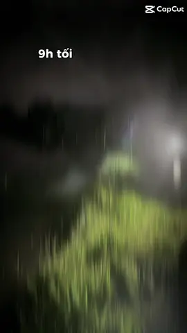 chủ nhật của ae sao rồi tui thì bảo cá nha ae #câucagiaitri #caucatunhien #suhuongtiktok 