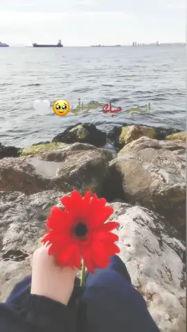 ازميرتي🥹😔#اموشه🥹 #CapCut #ازمير 