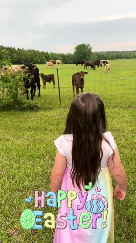 Happy Easter! We had a blast feeding the cows some leaves from out trees they like to eat off of! #cowsoftiktok #kidsoftiktok #cows #moo #kids 