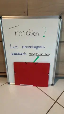 Épithète ou attribut du sujet ? 🤔🎓 #quizfrançais #adjectifqualificatif #épithète #attributdusujet #pourtoi 